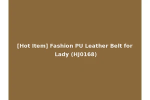 [Hot Item] Fashion PU Leather Belt for Lady (HJ0168)