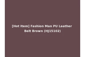 [Hot Item] Fashion Man PU Leather Belt Brown (HJ15102)