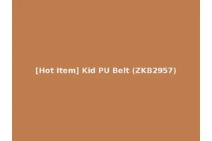 [Hot Item] Kid PU Belt (ZKB2957)