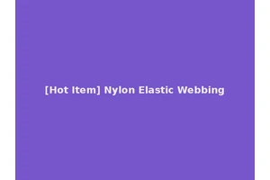[Hot Item] Nylon Elastic Webbing