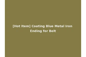 [Hot Item] Coating Blue Metal Iron Ending for Belt