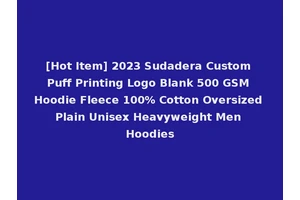 [Hot Item] 2023 Sudadera Custom Puff Printing Logo Blank 500 GSM Hoodie Fleece 100% Cotton Oversized Plain Unisex Heavyweight Men Hoodies
