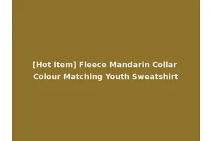[Hot Item] Fleece Mandarin Collar Colour Matching Youth Sweatshirt