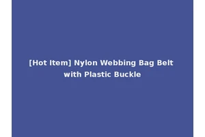 [Hot Item] Nylon Webbing Bag Belt with Plastic Buckle