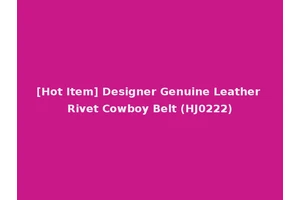 [Hot Item] Designer Genuine Leather Rivet Cowboy Belt (HJ0222)