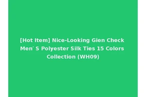 [Hot Item] Nice-Looking Gien Check Men′ S Polyester Silk Ties 15 Colors Collection (WH09)