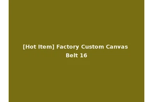 [Hot Item] Factory Custom Canvas Belt 16