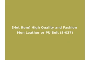 [Hot Item] High Quality and Fashion Men Leather or PU Belt (S-037)