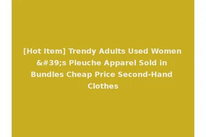 [Hot Item] Trendy Adults Used Women's Pleuche Apparel Sold in Bundles Cheap Price Second-Hand Clothes
