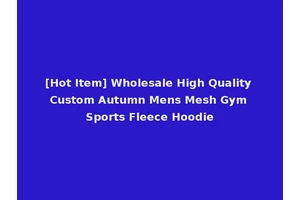 [Hot Item] Wholesale High Quality Custom Autumn Mens Mesh Gym Sports Fleece Hoodie