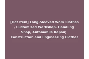 [Hot Item] Long-Sleeved Work Clothes, Customized Workshop, Handling Shop, Automobile Repair, Construction and Engineering Clothes