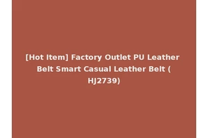 [Hot Item] Factory Outlet PU Leather Belt Smart Casual Leather Belt (HJ2739)