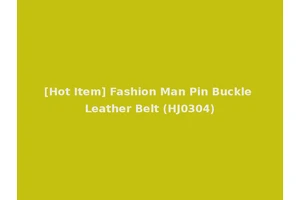 [Hot Item] Fashion Man Pin Buckle Leather Belt (HJ0304)