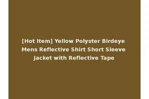 [Hot Item] Yellow Polyster Birdeye Mens Reflective Shirt Short Sleeve Jacket with Reflective Tape