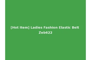 [Hot Item] Ladies Fashion Elastic Belt Zeb622