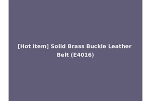 [Hot Item] Solid Brass Buckle Leather Belt (E4016)
