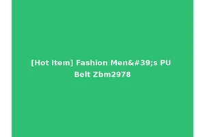 [Hot Item] Fashion Men's PU Belt Zbm2978