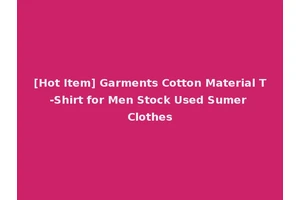 [Hot Item] Garments Cotton Material T-Shirt for Men Stock Used Sumer Clothes