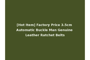 [Hot Item] Factory Price 3.5cm Automatic Buckle Man Genuine Leather Ratchet Belts