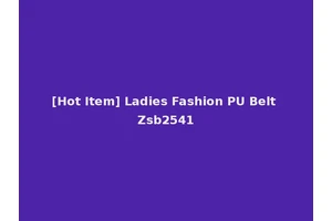 [Hot Item] Ladies Fashion PU Belt Zsb2541