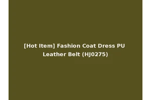[Hot Item] Fashion Coat Dress PU Leather Belt (HJ0275)