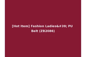 [Hot Item] Fashion Ladies' PU Belt (ZB2086)