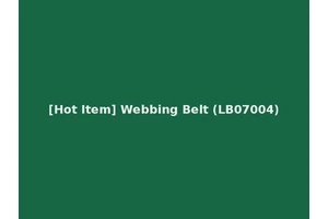[Hot Item] Webbing Belt (LB07004)