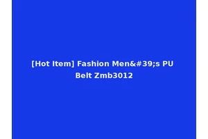 [Hot Item] Fashion Men's PU Belt Zmb3012