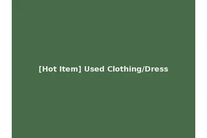 [Hot Item] Used Clothing/Dress