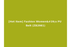 [Hot Item] Fashion Women's PU Belt (ZB2981)