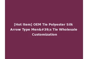 [Hot Item] OEM Tie Polyester Silk Arrow Type Men's Tie Wholesale Customization