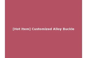[Hot Item] Customized Alloy Buckle