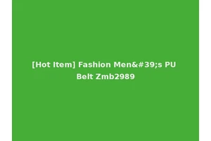 [Hot Item] Fashion Men's PU Belt Zmb2989