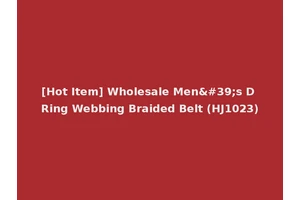 [Hot Item] Wholesale Men's D Ring Webbing Braided Belt (HJ1023)