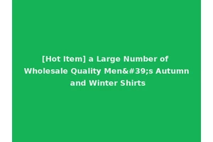 [Hot Item] a Large Number of Wholesale Quality Men's Autumn and Winter Shirts