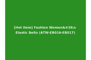 [Hot Item] Fashion Women's Elastic Belts (ATW-EB016-EB017)