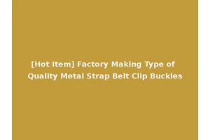 [Hot Item] Factory Making Type of Quality Metal Strap Belt Clip Buckles