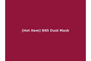 [Hot Item] N95 Dust Mask