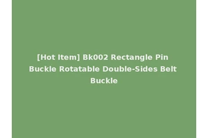 [Hot Item] Bk002 Rectangle Pin Buckle Rotatable Double-Sides Belt Buckle