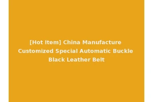 [Hot Item] China Manufacture Customized Special Automatic Buckle Black Leather Belt