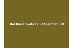 [Hot Item] Rivets PU Belt Leather Belt