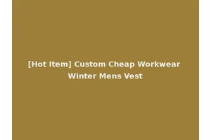 [Hot Item] Custom Cheap Workwear Winter Mens Vest