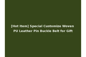 [Hot Item] Special Customize Woven PU Leather Pin Buckle Belt for Gift