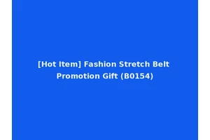 [Hot Item] Fashion Stretch Belt Promotion Gift (B0154)