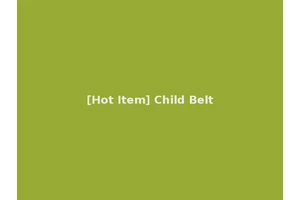 [Hot Item] Child Belt