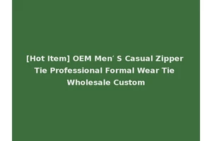 [Hot Item] OEM Men′ S Casual Zipper Tie Professional Formal Wear Tie Wholesale Custom