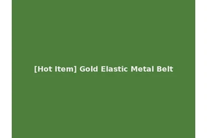 [Hot Item] Gold Elastic Metal Belt