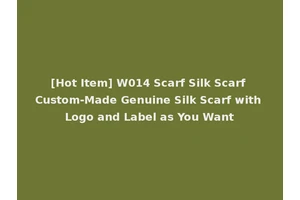 [Hot Item] W014 Scarf Silk Scarf Custom-Made Genuine Silk Scarf with Logo and Label as You Want