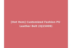 [Hot Item] Customized Fashion PU Leather Belt (HJ15009)