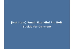 [Hot Item] Small Size Mini Pin Belt Buckle for Garment